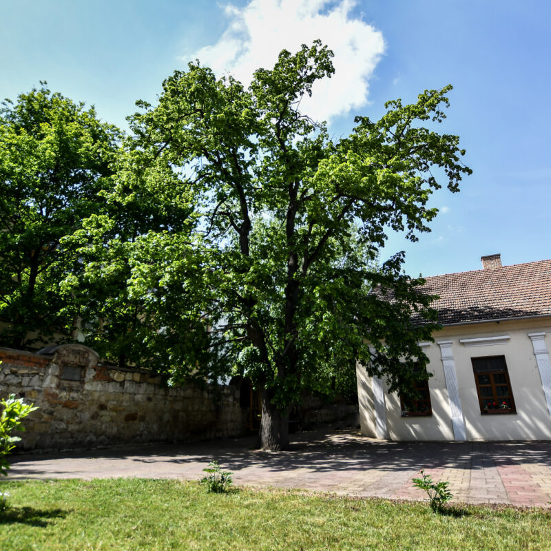 Benko Guest House